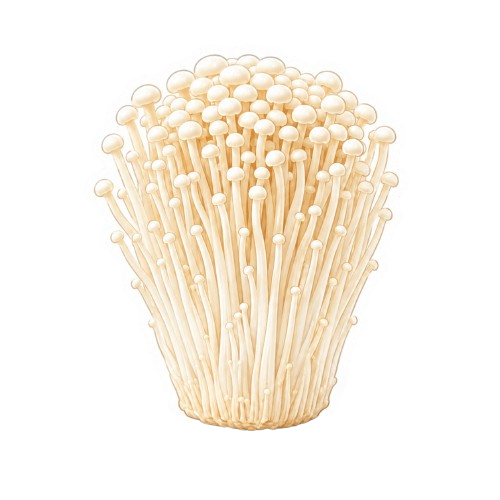 Enoki