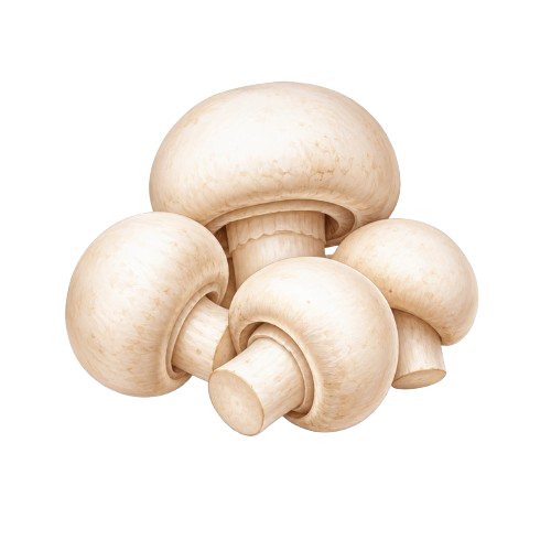 Champignon de Paris